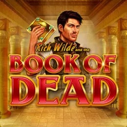 Top Online Casinos