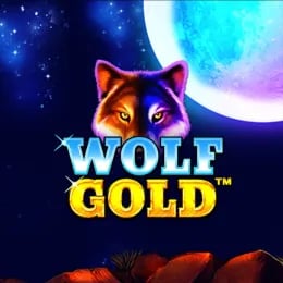 Top Online Casinos