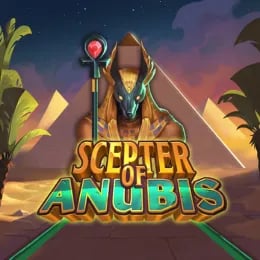 Top Online Casinos